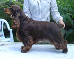 Teo